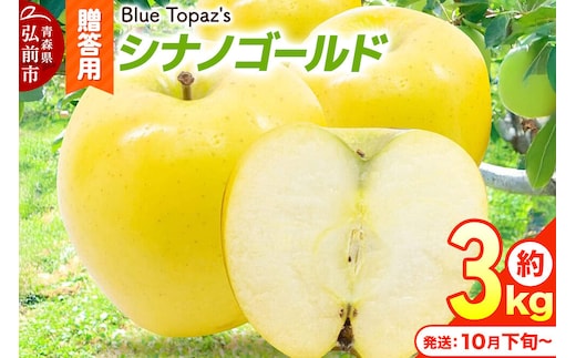 【26年10月下旬～発送】りんご シナノゴールド【贈答用】約3kg 内のし付き 青森県 弘前市 [アップル おいしい ふじ りんご 果実 果物 黄色 津軽 糖度 美味 林檎]
