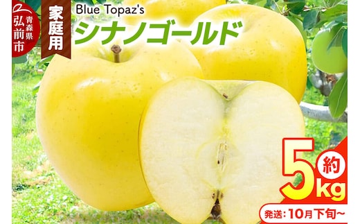 【26年10月下旬～発送】りんご シナノゴールド【家庭用】約5kg 青森県 弘前市 [アップル おいしい ふじ りんご 果実 果物 黄色 津軽 糖度 美味 林檎]