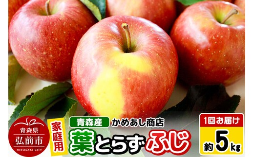 【寄附金額見直しました】【25年12月～発送】りんご 葉とらず ふじ【家庭用】約5kg ゴールド農園 [青森産 りんご ふじ 葉取らず アップル 林檎 リンゴ 果物 果実 美味 青森県 弘前市]