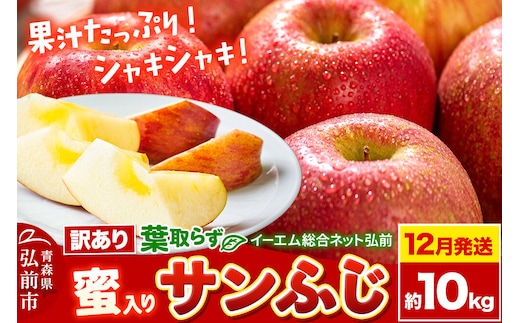【26年12月発送】りんご 葉取らず サンふじ【訳あり】約10kg【蜜入り】糖度13度以上 EMりんご 林檎 リンゴ 果物 くだもの フルーツ 青森県 弘前市 不揃い 規格外 先行受付 [先行予約 家庭用 産地直送 アップル 青森県 弘前市]