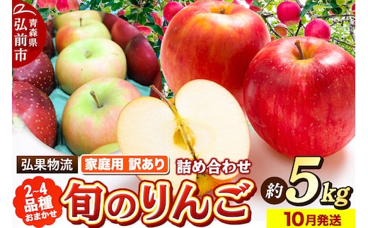 【26年10月発送】りんご 旬のりんご品種おまかせ【2～4品種】【訳あり】約5kg 家庭用 青森県 弘前市 [品種おまかせ りんご 訳あり 家庭用 アップル おいしい 黄色 果実 果物 詰め合わせ 詰合 赤色 美味 林檎]