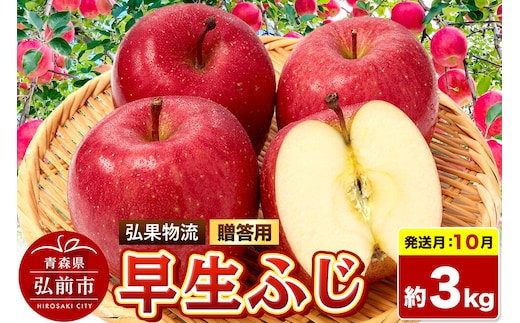 【26年10月発送】りんご 早生ふじ【贈答用】約3kg 青森県 弘前市 [早生ふじ りんご 贈り物 贈答用 お歳暮 お中元 ギフト 3キロ アップル おいしい 果実 果物 詰め合わせ セット 赤色 美味]
