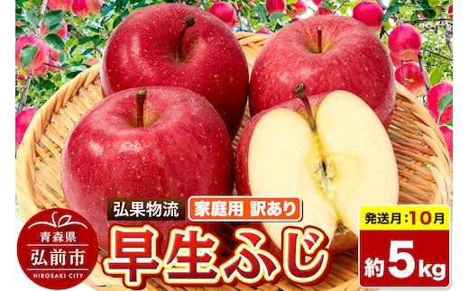 【26年10月発送】りんご 早生ふじ【訳あり】約5kg 家庭用 青森県 弘前市 [早生ふじ りんご 訳あり 家庭用 アップル おいしい 果実 果物 詰め合わせ 詰合 赤色 美味 林檎]