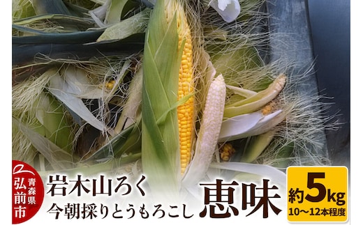 岩木山ろく 今朝採り とうもろこし 恵味 約5kg（10～12本程度） [産地直送 とうもろこし スイートコーン 平均糖度18度 青森県産 青森県 弘前市]