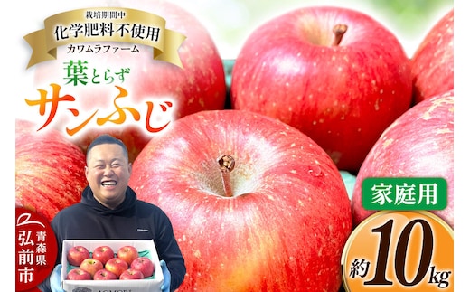 りんご 葉とらず サンふじ 約10kg カワムラファーム 家庭用 青森 果物 フルーツ 林檎 リンゴ くだもの