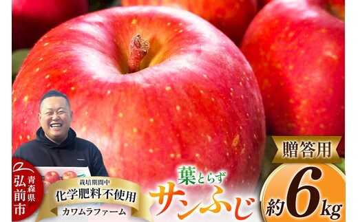 りんご 葉とらず サンふじ 約6kg カワムラファーム 贈答用 青森 果物 フルーツ 林檎 リンゴ くだもの