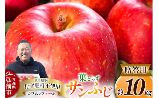りんご 葉とらず サンふじ 約10kg カワムラファーム 贈答用 青森 果物 フルーツ 林檎 リンゴ くだもの