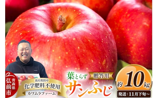 【26年11月下旬～発送】りんご 葉とらず サンふじ【贈答用】約10kg【先行受付】カワムラファーム 青森県 弘前市 果物 フルーツ 林檎 リンゴ くだもの ギフト 贈り物 [先行予約 産地直送 アップル おいしい 果実 美味 甘い 赤色]