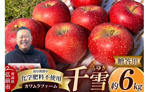 【26年10月下旬～発送】りんご 千雪 約6kg カワムラファーム【贈答用】青森 果物 フルーツ 林檎 リンゴ くだもの [アップル おいしい ちゆき お歳暮 お中元 ギフト プレゼント 果実 果物 赤色 贈り物 美味 林檎 弘前市]