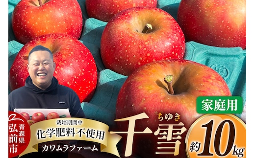 【26年10月下旬～発送】りんご 千雪 約10kg カワムラファーム【家庭用】青森 果物 フルーツ 林檎 リンゴ くだもの [アップル おいしい ちゆき 果実 果物 赤色 美味 林檎 弘前市]