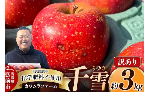【26年10月下旬～発送】りんご 千雪 約3kg カワムラファーム【訳あり】青森 果物 フルーツ 林檎 リンゴ くだもの [アップル おいしい ちゆき 果実 果物 赤色 美味 林檎 弘前市]