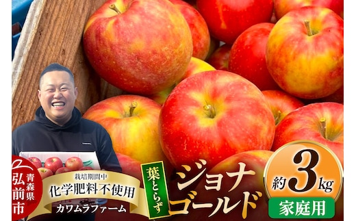 【26年10月発送】りんご 葉とらず ジョナゴールド【家庭用】約3kg カワムラファーム 青森県 弘前市 [果物 フルーツ 林檎 リンゴ くだもの]