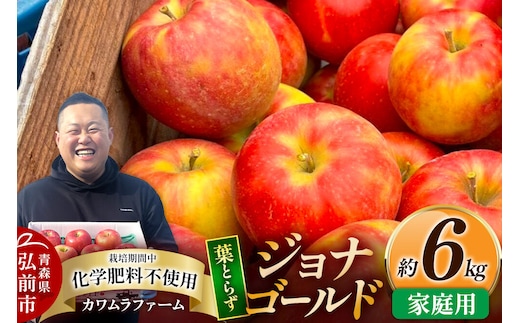【26年10月発送】りんご 葉とらず ジョナゴールド【家庭用】約6kg カワムラファーム 青森県 弘前市 [果物 フルーツ 林檎 リンゴ くだもの]