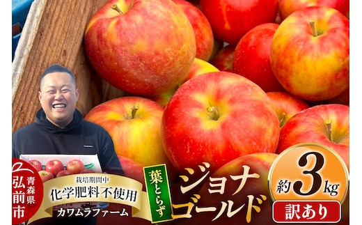 【26年10月発送】りんご 葉とらず ジョナゴールド【訳あり】約3kg カワムラファーム 青森県 弘前市 [果物 フルーツ 林檎 リンゴ くだもの 不揃い 規格外]
