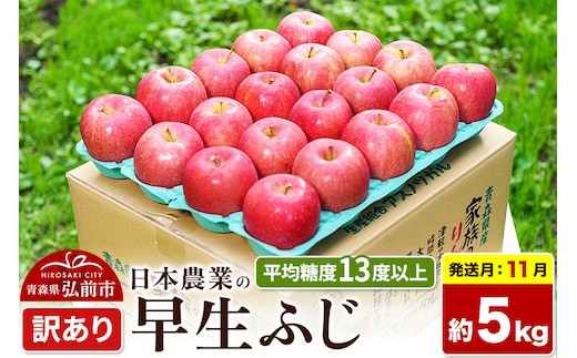 【26年11月発送】りんご 早生ふじ【訳あり】約5kg 平均糖度13度以上 青森 果物 フルーツ 林檎 リンゴ くだもの 不揃い 規格外 先行受付 [先行受付 家庭用 産地直送 アップル 青森県 弘前市]