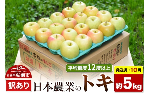 【26年10月発送】りんご トキ【訳あり】約5kg 平均糖度12度以上 青森県 弘前市 果物 フルーツ 林檎 リンゴ くだもの 不揃い 規格外 [家庭用 産地直送 アップル 青森県 弘前市]