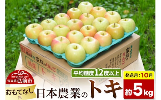 【26年10月発送】りんご トキ【おもてなし用】約5kg 平均糖度12度以上 青森県 弘前市 果物 フルーツ 林檎 リンゴ くだもの [産地直送 アップル 青森県 弘前市]