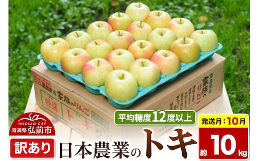 【26年10月発送】りんご トキ【訳あり】約10kg 平均糖度12度以上 青森県 弘前市 果物 フルーツ 林檎 リンゴ くだもの 不揃い 規格外 [家庭用 産地直送 アップル 青森県 弘前市]