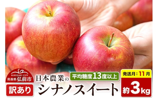 【26年11月発送】りんご シナノスイート【訳あり】約3kg 平均糖度13度以上 青森県 弘前市 果物 フルーツ 林檎 リンゴ くだもの 不揃い 規格外 先行受付 [先行予約 家庭用 産地直送 アップル 青森県 弘前市]