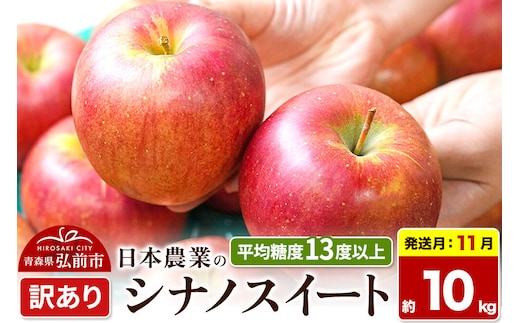 【26年11月発送】りんご シナノスイート【訳あり】約10kg 平均糖度13度以上 青森県 弘前市 果物 フルーツ 林檎 リンゴ くだもの 不揃い 規格外 先行受付 [先行予約 家庭用 産地直送 アップル 青森県 弘前市]