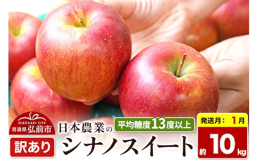 【27年1月発送】りんご シナノスイート【訳あり】約10kg 平均糖度13度以上 青森県 弘前市 果物 フルーツ 林檎 リンゴ くだもの 不揃い 規格外 先行受付 [先行予約 家庭用 産地直送 アップル 青森県 弘前市]