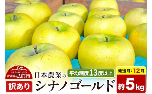 【26年12月発送】りんご シナノゴールド【訳あり】約5kg 平均糖度13度以上 青森県 弘前市 果物 フルーツ 林檎 リンゴ くだもの 不揃い 規格外 先行受付 [先行受付 家庭用 産地直送 アップル 青森県 弘前市]