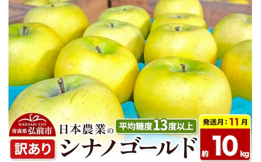 【26年11月発送】りんご シナノゴールド【訳あり】約10kg 平均糖度13度以上 青森県 弘前市 果物 フルーツ 林檎 リンゴ くだもの 不揃い 規格外 先行受付 [先行受付 家庭用 産地直送 アップル 青森県 弘前市]