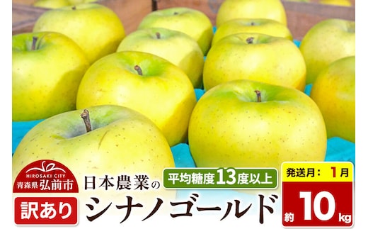 【27年1月発送】りんご シナノゴールド【訳あり】約10kg 平均糖度13度以上 青森県 弘前市 果物 フルーツ 林檎 リンゴ くだもの 不揃い 規格外 先行受付 [先行受付 家庭用 産地直送 アップル 青森県 弘前市]