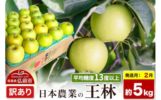 【27年2月発送】りんご 王林【訳あり】約5kg 平均糖度13度以上 青森県 弘前市 果物 フルーツ 林檎 リンゴ くだもの 不揃い 規格外 先行受付 [先行予約 家庭用 産地直送 アップル 青森県 弘前市]