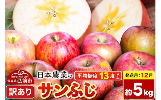【26年12月発送】りんご サンふじ【訳あり】約5kg 平均糖度13度以上 青森県 弘前市 果物 フルーツ 林檎 リンゴ くだもの 不揃い 規格外 先行受付 [先行予約 家庭用 産地直送 アップル 青森県 弘前市]
