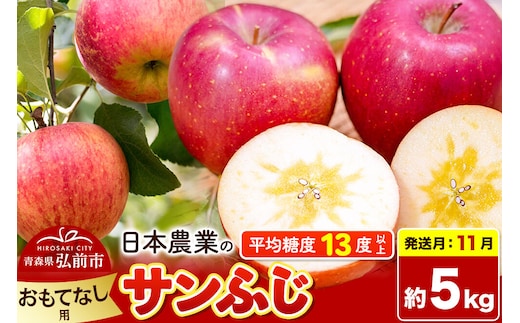 【26年11月発送】りんご サンふじ【おもてなし用】約5kg 平均糖度13度以上 青森県 弘前市 果物 フルーツ 林檎 リンゴ くだもの 先行受付 [先行予約 産地直送 アップル 青森県 弘前市]