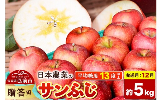【26年12月発送】りんご サンふじ【贈答用】約5kg 平均糖度13度以上 青森県 弘前市 果物 フルーツ 林檎 リンゴ くだもの 贈り物 ギフト 先行受付 [先行予約 産地直送 アップル 青森県 弘前市]