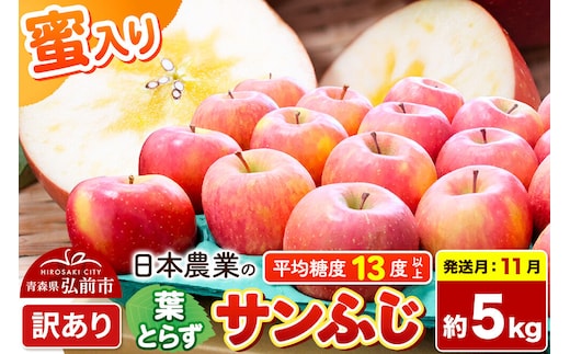 【26年11月発送】りんご 葉とらずサンふじ 【訳あり】 約5kg 蜜入り 平均糖度13度以上 青森県産 先行受付 [先行予約 りんご 林檎 アップル 産地直送 葉とらず サンふじ 訳あり 自宅用 家庭用 果物 フルーツ くだもの おいしい 美味 甘い 青森県 弘前市 日本農業]