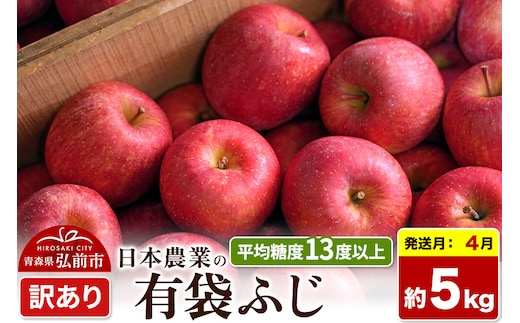 【27年4月クール便発送】りんご 有袋ふじ【訳あり】約5kg【CA貯蔵】平均糖度13度以上 クール便 青森 果物 フルーツ 林檎 リンゴ くだもの 不揃い 規格外 [先行予約 家庭用 産地直送 アップル 青森県 弘前市]