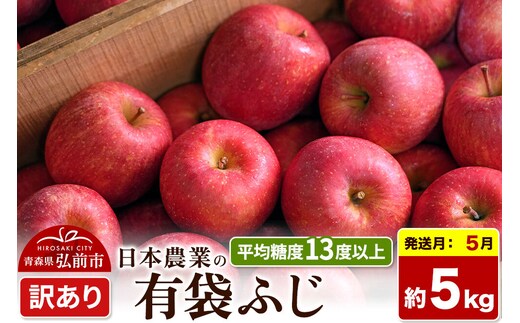 【27年5月クール便発送】りんご 有袋ふじ【訳あり】約5kg【CA貯蔵】平均糖度13度以上 クール便 青森 果物 フルーツ 林檎 リンゴ くだもの 不揃い 規格外 先行受付 [先行予約 家庭用 産地直送 アップル 青森県 弘前市]