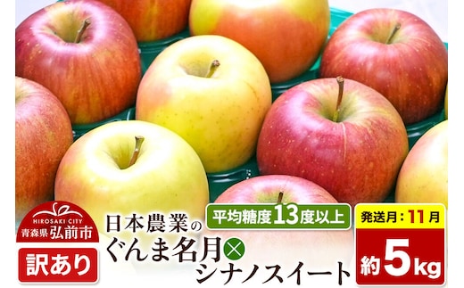 【26年11月発送】りんご ぐんま名月×シナノスイート【訳あり】約5kg 平均糖度13度以上 青森県 弘前市 果物 フルーツ 林檎 リンゴ くだもの 不揃い 規格外 先行受付 [先行予約 家庭用 産地直送 アップル 青森県 弘前市]