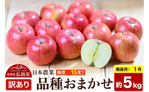 【27年1月発送】りんご 品種おまかせ【訳あり】約5kg 平均糖度13度以上 青森県 弘前市 果物 フルーツ 林檎 リンゴ くだもの 不揃い 規格外 [先行予約 家庭用 産地直送 アップル 青森県 弘前市]