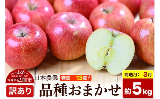 【27年3月クール便発送】りんご 品種おまかせ【訳あり】約5kg 平均糖度13度以上 青森県 弘前市 果物 フルーツ 林檎 リンゴ くだもの 不揃い 規格外 先行受付 [先行予約 クール便 家庭用 産地直送 アップル 青森県 弘前市]