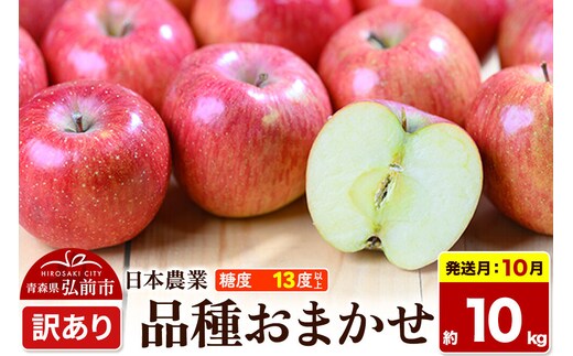 【26年10月発送】りんご 品種おまかせ【訳あり】約10kg 平均糖度13度以上 青森県 弘前市 果物 フルーツ 林檎 リンゴ くだもの 不揃い 規格外 [家庭用 産地直送 アップル 青森県 弘前市]