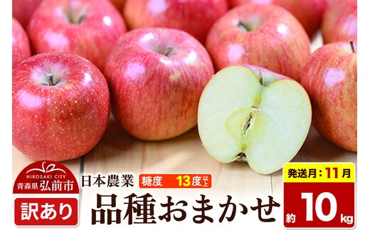 【26年11月発送】りんご 品種おまかせ【訳あり】約10kg 平均糖度13度以上 青森県 弘前市 果物 フルーツ 林檎 リンゴ くだもの 不揃い 規格外 先行受付 [先行予約 家庭用 産地直送 アップル 青森県 弘前市]