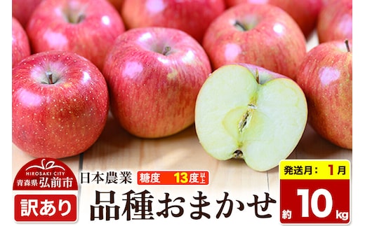 【27年1月発送】りんご 品種おまかせ【訳あり】約10kg 平均糖度13度以上 青森県 弘前市 果物 フルーツ 林檎 リンゴ くだもの 不揃い 規格外 先行受付 [先行予約 家庭用 産地直送 アップル 青森県 弘前市]