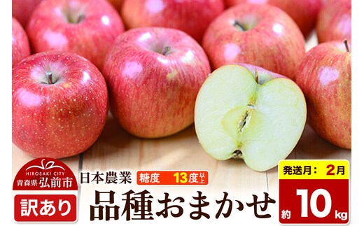 【27年2月発送】りんご 品種おまかせ【訳あり】約10kg 平均糖度13度以上 青森県 弘前市 果物 フルーツ 林檎 リンゴ くだもの 不揃い 規格外 先行受付 [先行予約 家庭用 産地直送 アップル 青森県 弘前市]