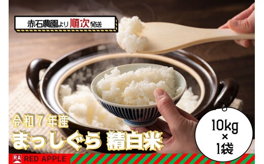 まっしぐら 白米 10kg 青森米 令和7年産 青森県 弘前市