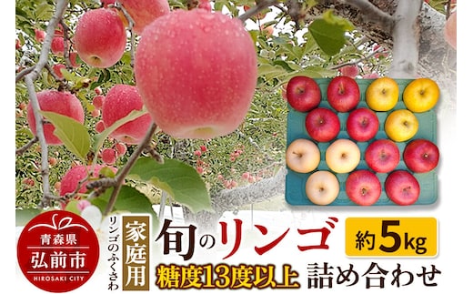 【26年9月～発送】りんご 家庭用 旬のリンゴ詰め合わせ 約5kg 糖度13度以上 [先行予約 アップル おいしい りんご 果実 果物 詰め合わせ 詰合 糖度 美味 林檎]