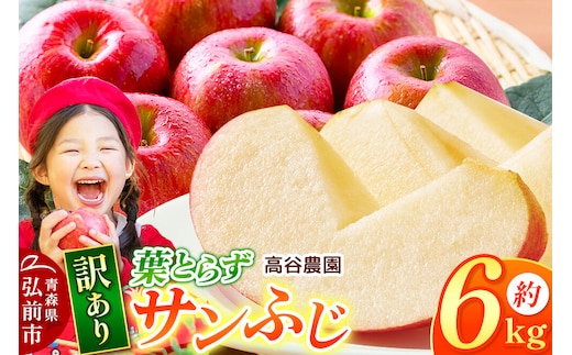 【26年11月～発送】りんご 葉とらず サンふじ【訳あり】約6kg 高谷農園 先行受付 家庭用 青森県 弘前市 果物 フルーツ 林檎 リンゴ くだもの 不揃い 規格外 [先行予約 産地直送 アップル おいしい 果実 美味 甘い 赤色]