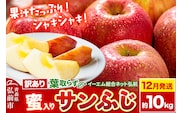 【26年12月発送】りんご 葉取らず サンふじ【訳あり】約10kg【蜜入り】糖度13度以上 EMりんご 林檎 リンゴ 果物 くだもの フルーツ 青森県 弘前市 不揃い 規格外 先行受付 [先行予約 家庭用 産地直送 アップル 青森県 弘前市]