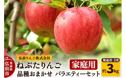 【27年3月クール便発送】りんご ねぷたりんご バラエティーセット【家庭用】約3kg【品種おまかせ】先行受付 家庭用 青森県 弘前市 果物 フルーツ 林檎 リンゴ くだもの 不揃い 規格外 [先行予約 産地直送 詰め合わせ おまかせ セット アップル おいしい 果実 美味 甘い]
