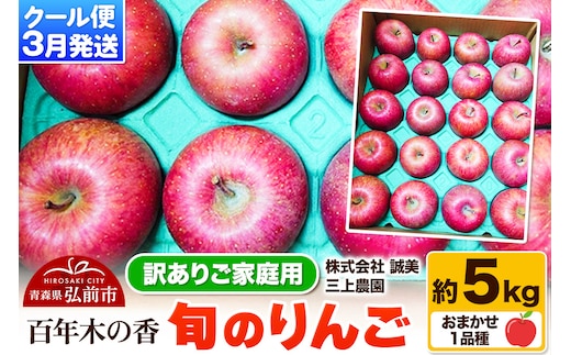 【26年3月クール便発送】りんご 旬のりんご 約5kg 品種おまかせ1品種【訳あり】家庭用 百年木の香 三上農園