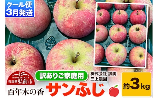 【26年3月クール便発送】りんご サンふじ 約3kg【訳あり】家庭用 百年木の香 三上農園