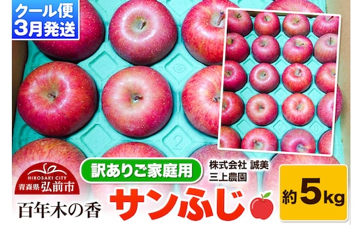 【26年3月クール便発送】りんご サンふじ 約5kg【訳あり】家庭用 百年木の香 三上農園